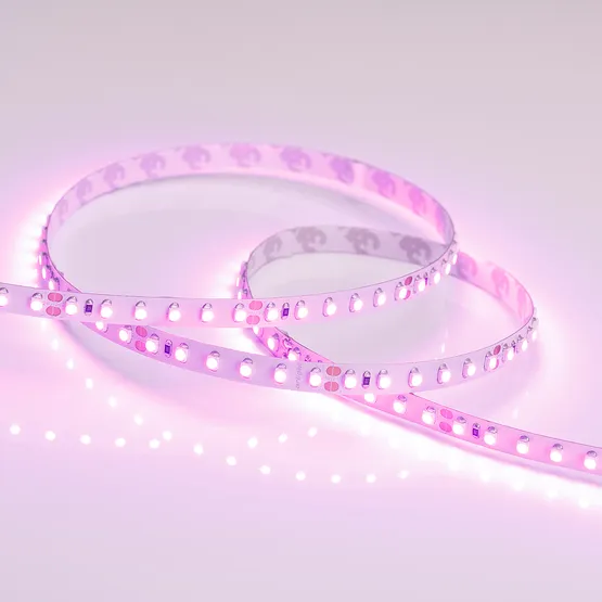 Фото #3 товара Светодиодная лента RT 2-5000 24V Pink 2x (3528, 600 LED, LUX) (Arlight, 9.6 Вт/м, IP20)