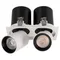 Минифото #1 товара Светильник LGD-PULL-S100x200-2x10W White6000 (WH, 20 deg) (Arlight, IP20 Металл, 3 года)